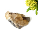 Yellow Fluorite Clusters from Morocco