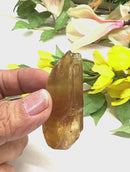 Natural Citrine Points from Zambia (Not heat treated)