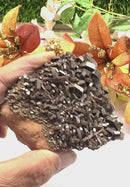 Dark Brown Vanadinite Specimen from Morocco (Motivation)