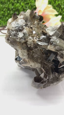 Large Smoky Quartz Clusters from Brazil