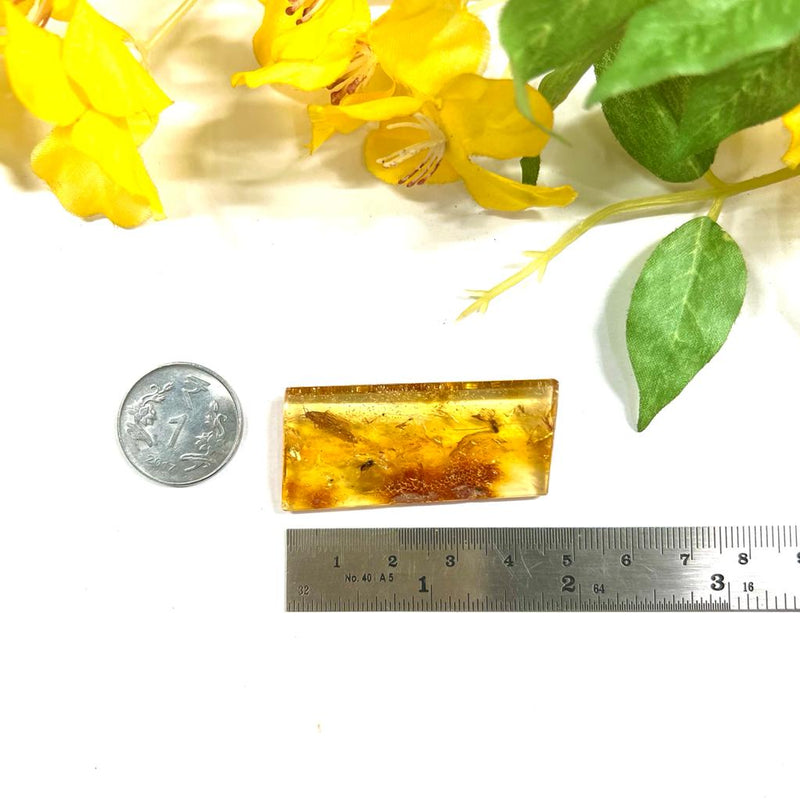 Natural Amber with Insect Inclusions (protection from external forces)