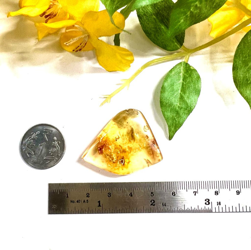 Natural Amber with Insect Inclusions (protection from external forces)
