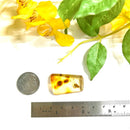 Natural Amber with Insect Inclusions (protection from external forces)
