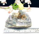 Special Amethyst Cluster Formations from Brazil (Meditation & Calmness)