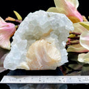Apophyllite Cluster (Spiritual Healing)