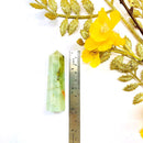 Aquamarine Tower (Clear Vision and Communication)