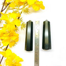 Black Agate Tower (Grounding and Grief)