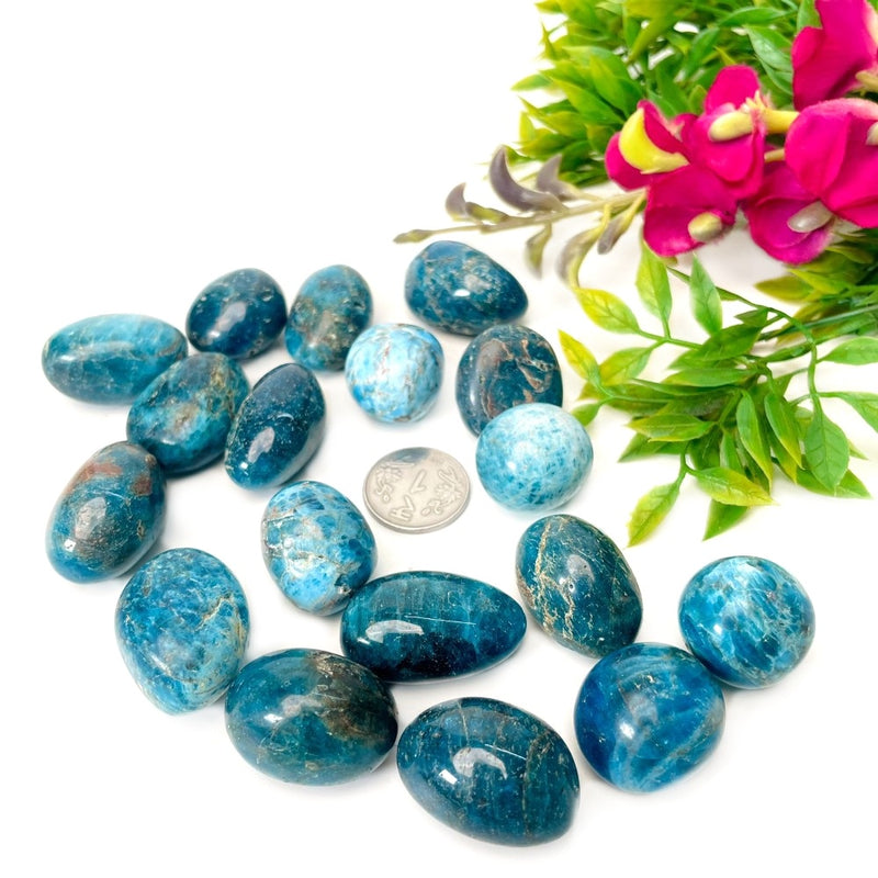 Blue Apatite Tumble (For Psychic perception)