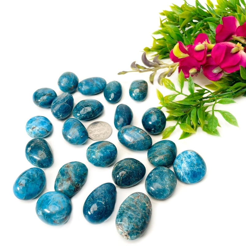 Blue Apatite Tumble (For Psychic perception)