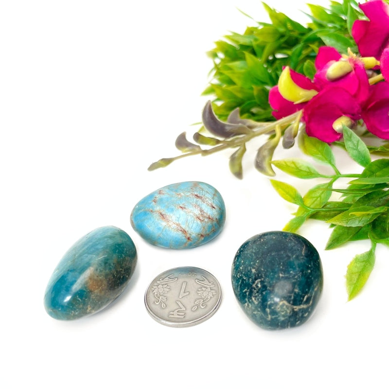 Blue Apatite Tumble (For Psychic perception)