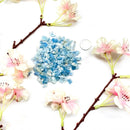 Blue Calcite Rough (Calm Communication)