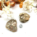 Brecciated Mookaite Jasper Rough