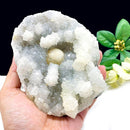 Butterscotch Fluorite on Quartz (Intellect & Creativity)