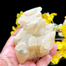 Yellow Calcite Cluster - Indian (Focus & Confidence)