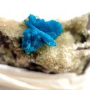 Cavansite (Channeling & Transition)