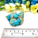 Cavansite (Channeling & Transition)