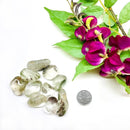 Chlorite in Quartz Tumble (Earth healing & Spiritual connection)