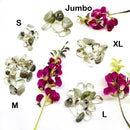 Chlorite in Quartz Tumble (Earth healing & Spiritual connection)