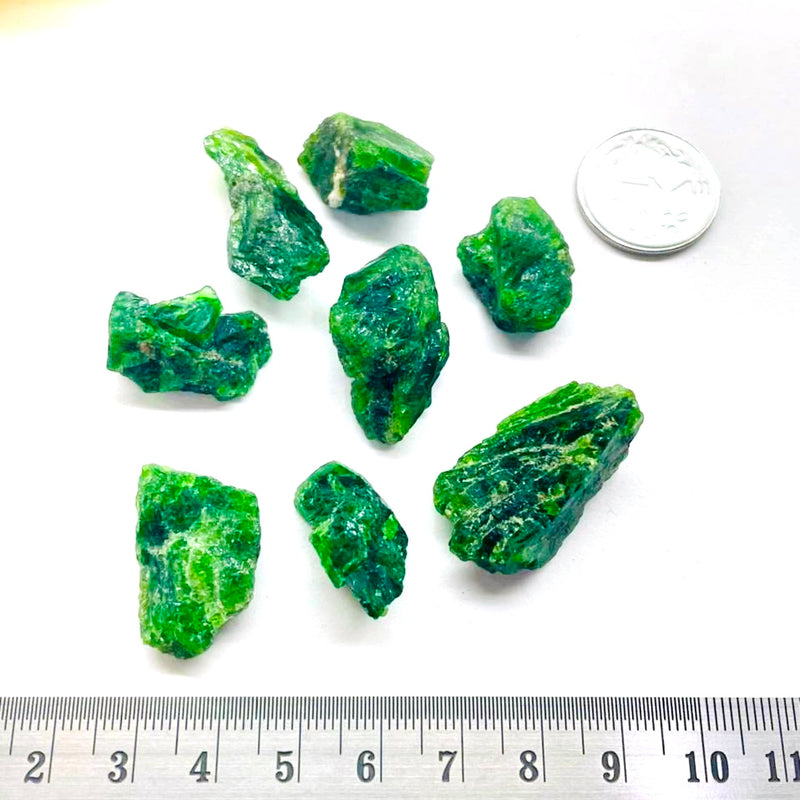 Chrome Diopside Rough (Compassion and Understanding)