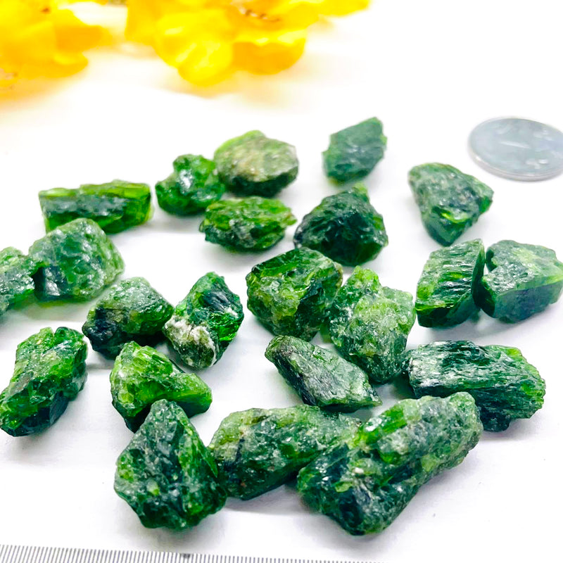 Chrome Diopside Rough (Compassion and Understanding)