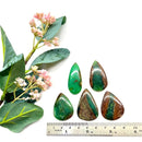 Chrysoprase Cabochon (Love & Compassion)