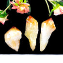 Citrine Natural Wands with polished points - from Brazil