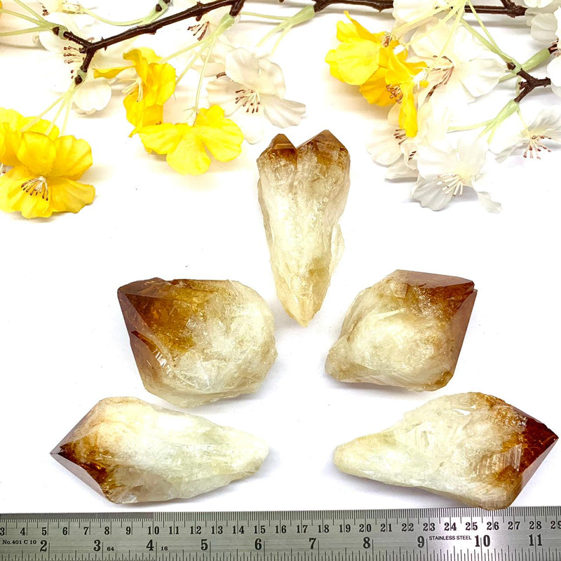 Citrine Natural Wands with polished points - from Brazil