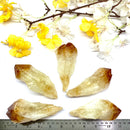 Citrine Natural Wands with polished points - from Brazil