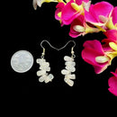 Clear Quartz Earrings (Expand Conciousness)