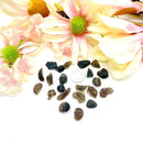 Colombianite (Connecting to higher realms)