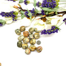 Crazy Lace Agate Tumble (Happiness)