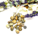 Crazy Lace Agate Tumble (Happiness)