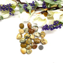 Crazy Lace Agate Tumble (Happiness)