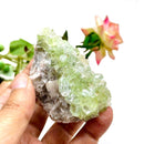 Cut Point Green Apophyllite Clusters (Love & Spiritual Growth)