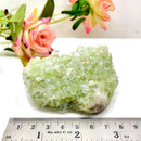 Cut Point Green Apophyllite Clusters (Love & Spiritual Growth)
