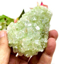 Cut Point Green Apophyllite Clusters (Love & Spiritual Growth)