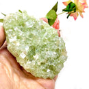 Cut Point Green Apophyllite Clusters (Love & Spiritual Growth)