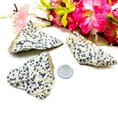 Dalmatian Jasper Rough (Joy & Harmony)