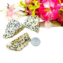 Dalmatian Jasper Rough (Joy & Harmony)