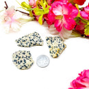 Dalmatian Jasper Rough (Joy & Harmony)