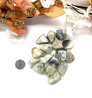 Dendritic Opal Tumble (Growth and Support)