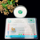 Emerald Gem stone - Zambia (Abundance & Wisdom)