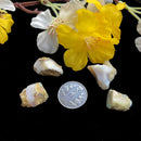 Ethiopian Opal (Highest potential & Intuition)