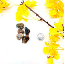 Fire Agate (Shielding & Creativity)