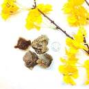 Fire Agate (Shielding & Creativity)