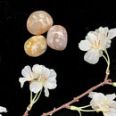 Flower Agate Tumble (Graceful Growth)