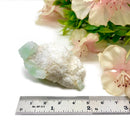 Green Apophyllite on Mordenite