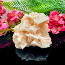 Halite on Trona Mineral Specimen (California)