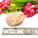 Halite on Trona Mineral Specimen (California)