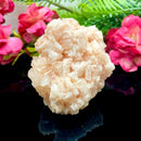 Halite on Trona Mineral Specimen (California)